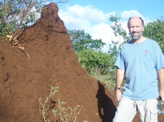 Neighborhood-Termites.jpg