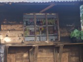 Neighborhood-Store.jpg