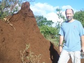 Neighborhood-Termites.jpg